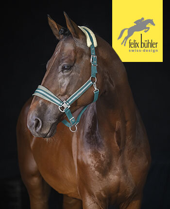 Felix Bhler Licols & longes
