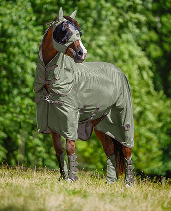 Protections anti-mouches
