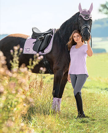 Collections pour chevaux