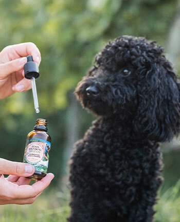 Produits de soin pour chien
