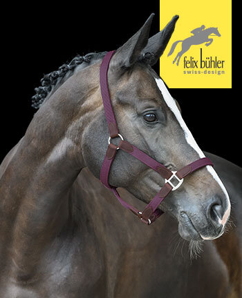 Felix Bhler Licols & longes