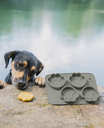 Gamelles & accessoires de voyage pour chien