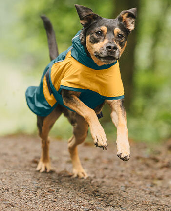 Vestes & manteaux pour chien