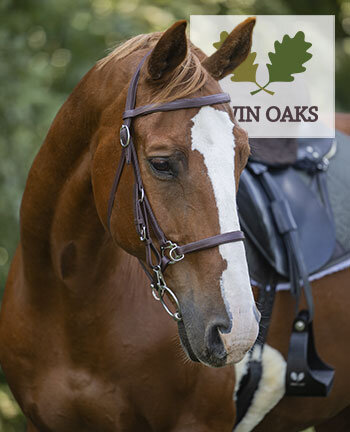 TWIN OAKS - Accessoires chevaux