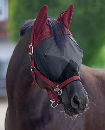 Protections anti-mouches