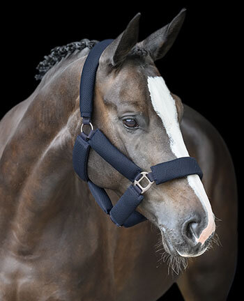 Licols & longes