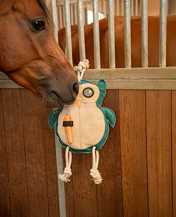 Jouets pour chevaux