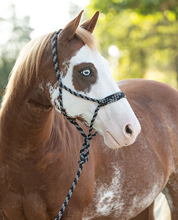 Licols & longes western