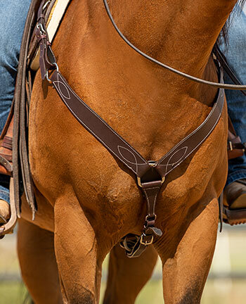 Colliers de chasse western