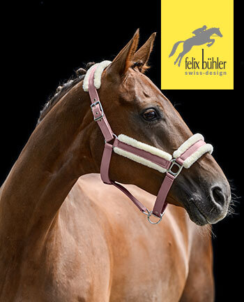 Felix B�hler Licols & longes