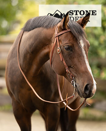 STONEDEEK Bridons & accessoires western