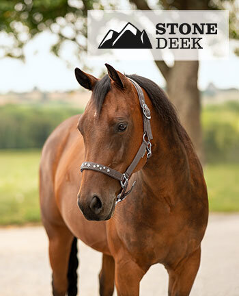 STONEDEEK Licols western