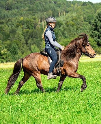 �quitation islandaise