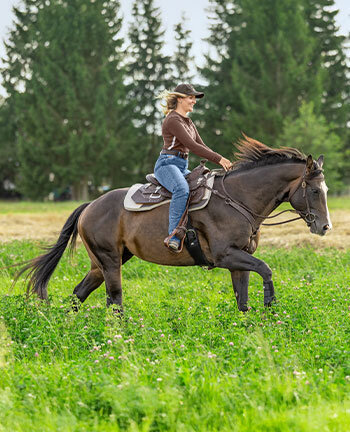 Pour le cheval western