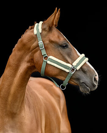 Licols synth�tiques