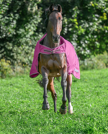 Couvre-reins & couvertures de marcheur