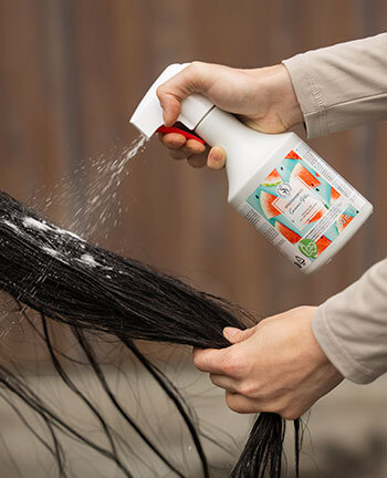 Shampoings & shampoings secs