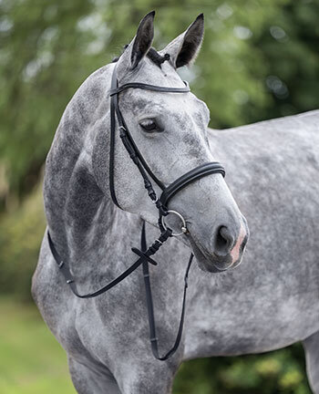 Briderie & accessoires