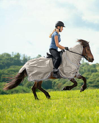 �quipement anti-dermite pour chevaux islandais