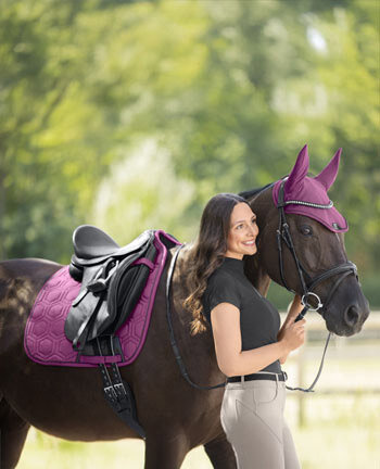 Collections pour poneys