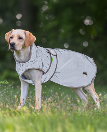 Mat�riel r�flechissant pour chiens