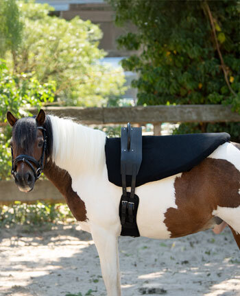 Surfaix & accessoires de voltige