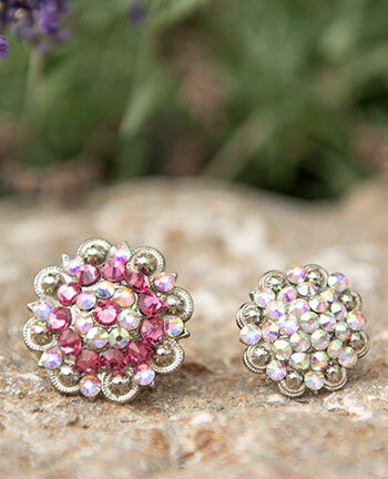 Accessoires bridon western