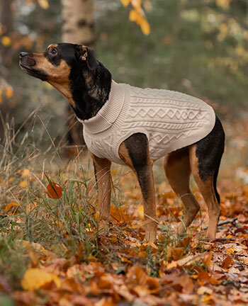 Manteaux pour chiens pour toutes les saisons sur fr.felix buehler.ch