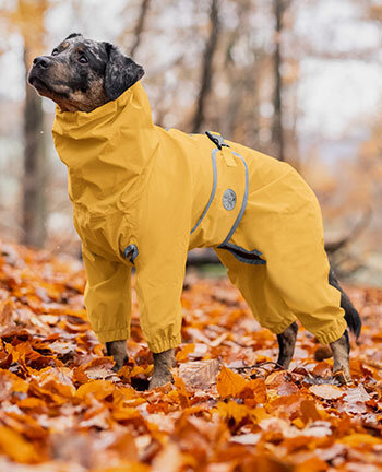 Manteau de pluie pour chien sale