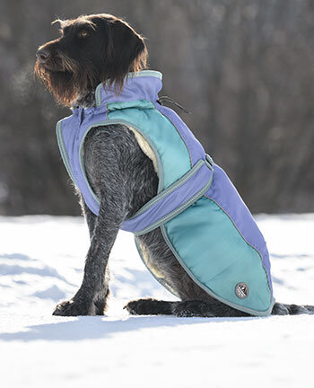 Habit de neige pour chien new arrivals