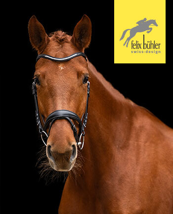 Felix Bhler Bridons & accessoires