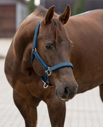 Licols & longes western