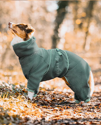 Peignoirs, manteaux polaire et pull-overs