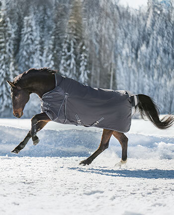 Couvertures pour chevaux