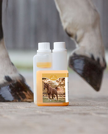 Alimentation pour chevaux