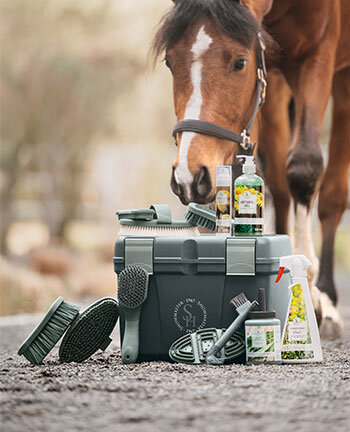 Articles de soin pour chevaux