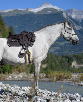Selles de randonne & accessoires