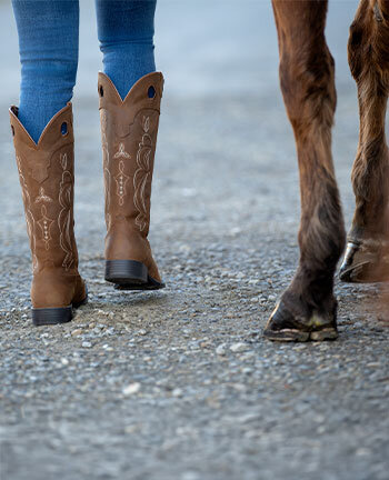 Bottes western