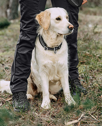 Pantalons pour propri�taires de chien