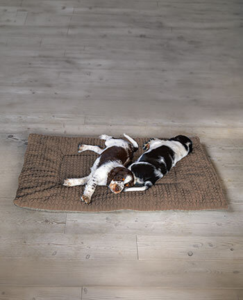 Coussins pour chien