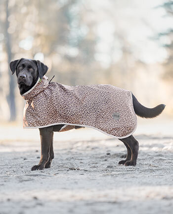 Manteaux d'hiver pour chiens