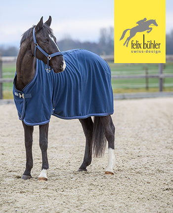 Felix B�hler Chemises s�chantes