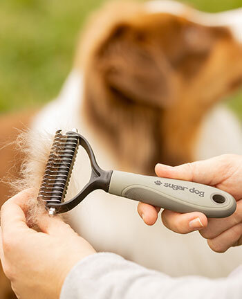 Soins pour chien