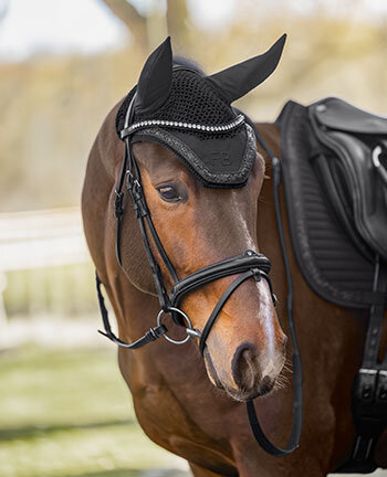 Cheval