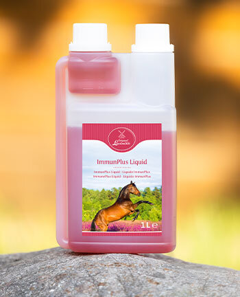 Alimentation pour chevaux