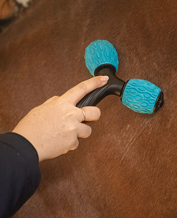 Equipement pour l'�curie