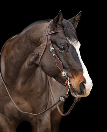 Pour le cheval western