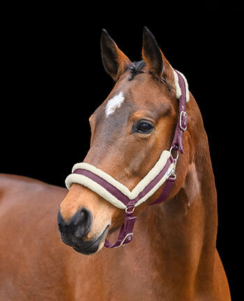 Licols & longes