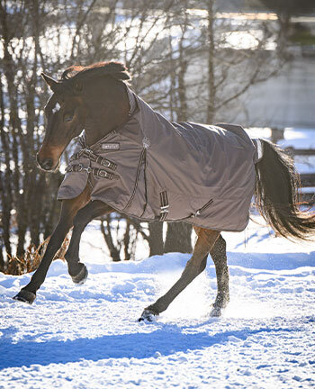 Couvertures pour chevaux