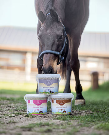 Alimentation pour chevaux